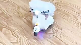 Compilation chat