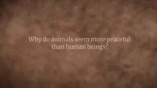 How Can I Find Peace of Mind?