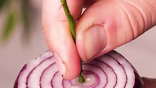 Propagate using vegetables and fruits!