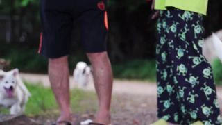 Dogs and Puppies Beautiful Scenes Episode 2 | Viral Dog Puppy