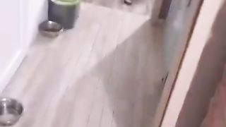 funny dog 2