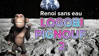 logobi pignouf 2
