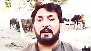 Tractor tractor ki kahani