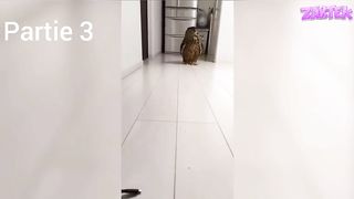 Tu rigole tu recommence. 3