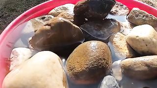 How to Make Decorative Concrete Pavers with Big Rock DIY