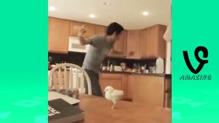 Zach King Vine Compilation 2015 - Best Magic Vines !!!