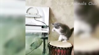 Funny Animal Videos 2023 ???? - Funniest Cats And Dogs Videos ???????? 3