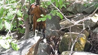 #Cachoeira do Sitio Bermuta