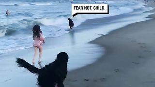 We don't deserve dogs