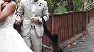 The monkey's just like, 'Many congratulations, but I have to be the center of attention.'