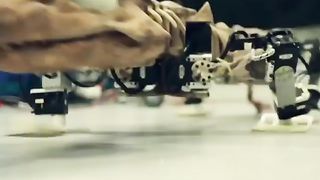 These Robots Look Like Real Animals!