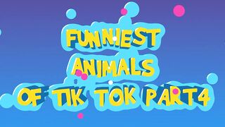 FUNNIEST ANIMALS OF TIK TOK PART4 #dogs #viral #funnyanimals #tiktok #compilation #animals