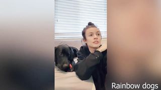 call your dog when they are next to you tiktok compilation