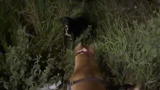 Dog vs dog