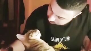 Music and cat