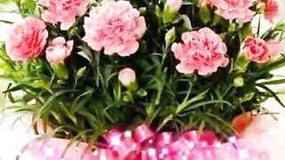 Good morning  beautiful have a nice day