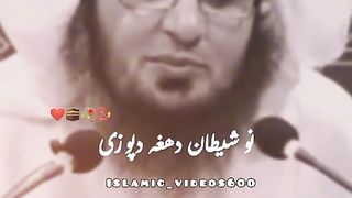 Shikh Abu hassan 2