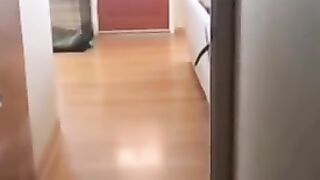 Funny compilation 6