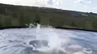 Kulguli video 2
