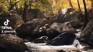 La nature est belle