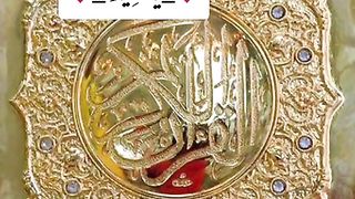 Febspot Videos, trending videos, viral, TikTok videos, educational videos, Islamic videos,