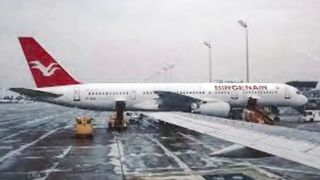 A Wasp nest caused a plane crash