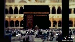 Febspot Videos, trending videos, viral, TikTok videos, educational videos, Islamic videos, 3
