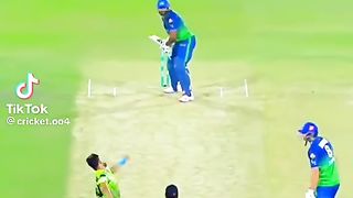 Cricket lover 2