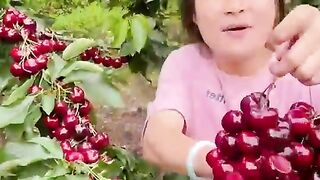 Berry fruit