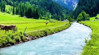 amazing nature of the year