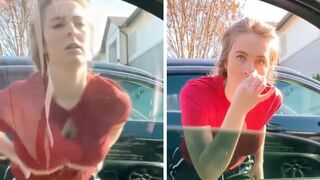 Funny Videos Of The Week