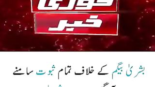 What did Rana Sanaullah say about Bushra Bibi?