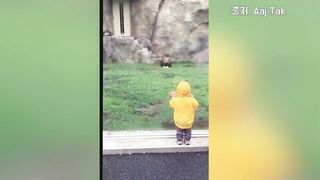 Lions trying too eat BABY In the zoo!  Baby playing in zoo with animals
