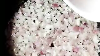 Quick And Easy Breakfast ???? 5 Minutes Recipe