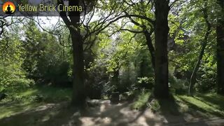 best meditation 15 Minute Meditation Music, Relaxing Music,