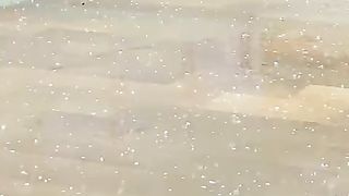 Zala Bari @ Karachi