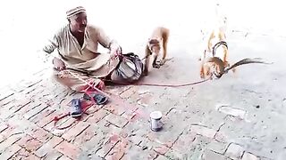 Funny comadi