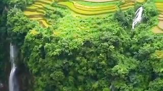 Beautiful nature 4