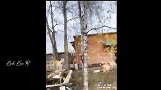Funniest Moments of the Year Compilation ???????????? 3