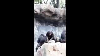TRY NOT TO LAUGH ???? Best Funny Videos Compilation ???????????? 8