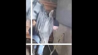 TRY NOT TO LAUGH ???? Best Funny Videos Compilation ???????????? 9