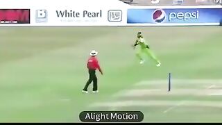 Outstanding Performance | Cricket Lover | Amazing Performance