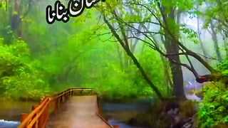 Urdu pottery 2