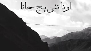 Pakistan qawail
