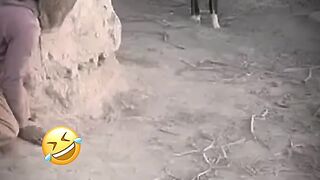 Very funny 8