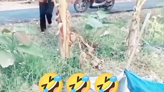 Kocak abis????