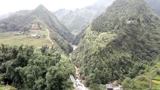 rice field view