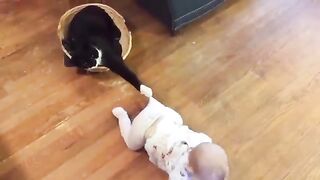 Baby and cat funny and cute