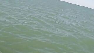 Fish jumping