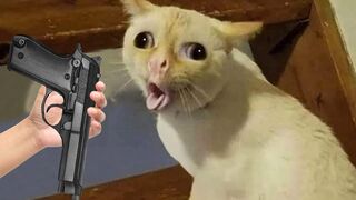 best funniest animal videos 2023???? | funny cat videos???? | funny dogs videos???? Ep.3